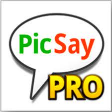 Ulasan Tentang PicSay Pro Mod