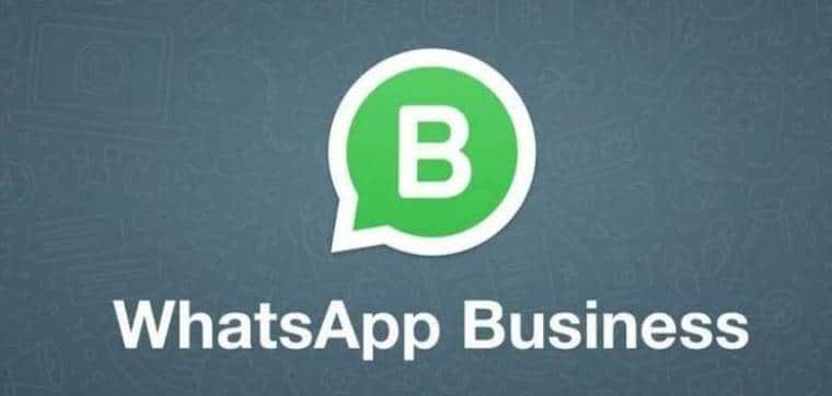Download WhatsApp Business Pro